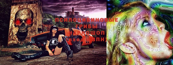 тгк Богородск