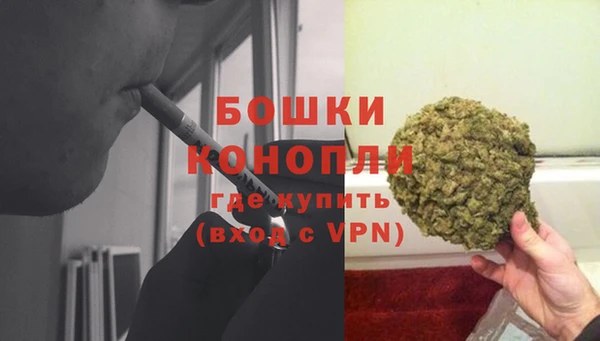 крисы Богданович