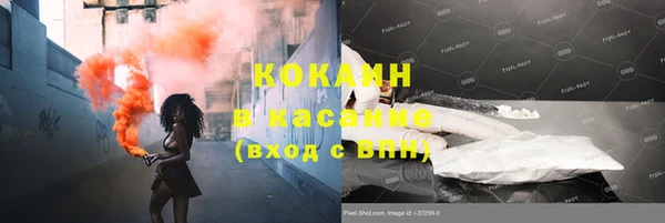 крисы Богданович